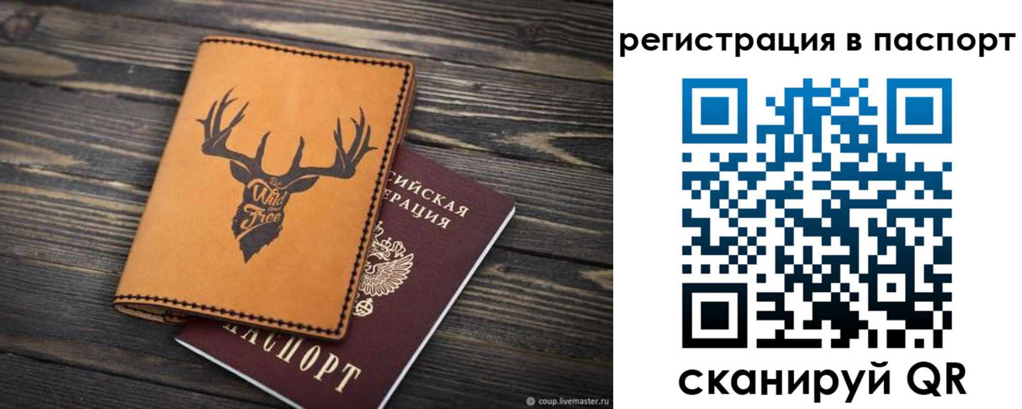 прописка паспорт в Острове